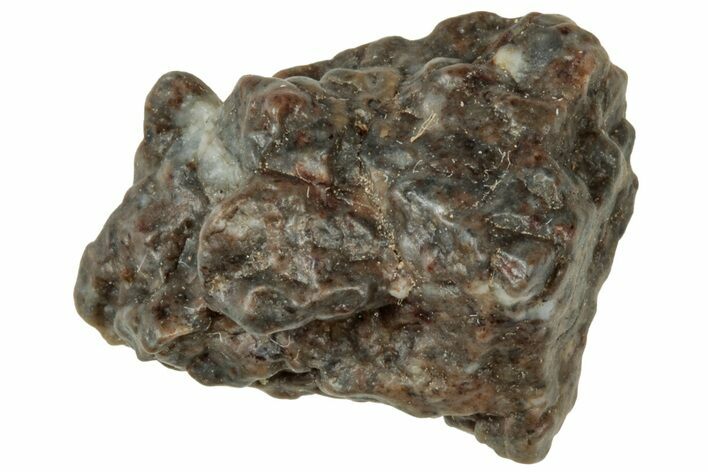 Lunar Meteorite ( g) - Laayoune #313121